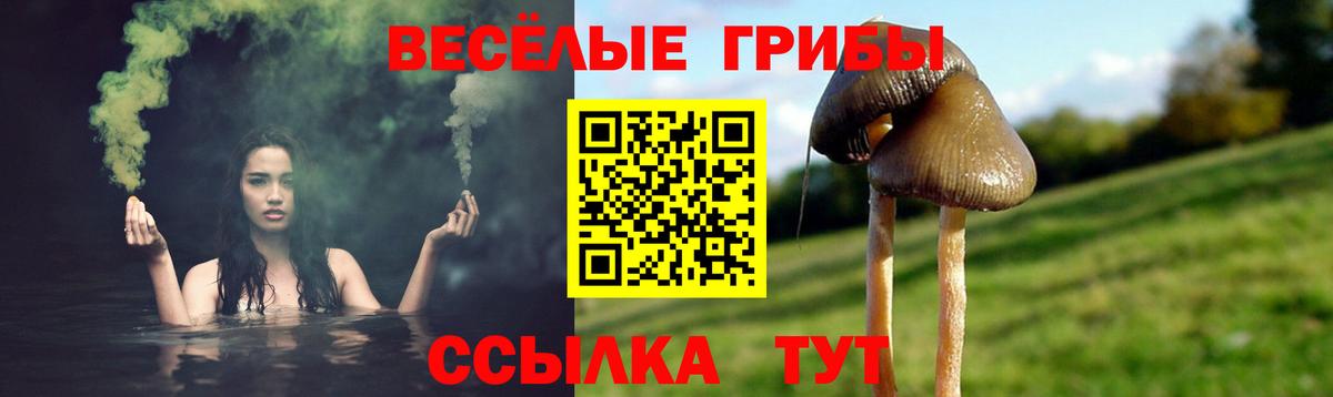 Псилоцибиновые грибы мицелий Вольск